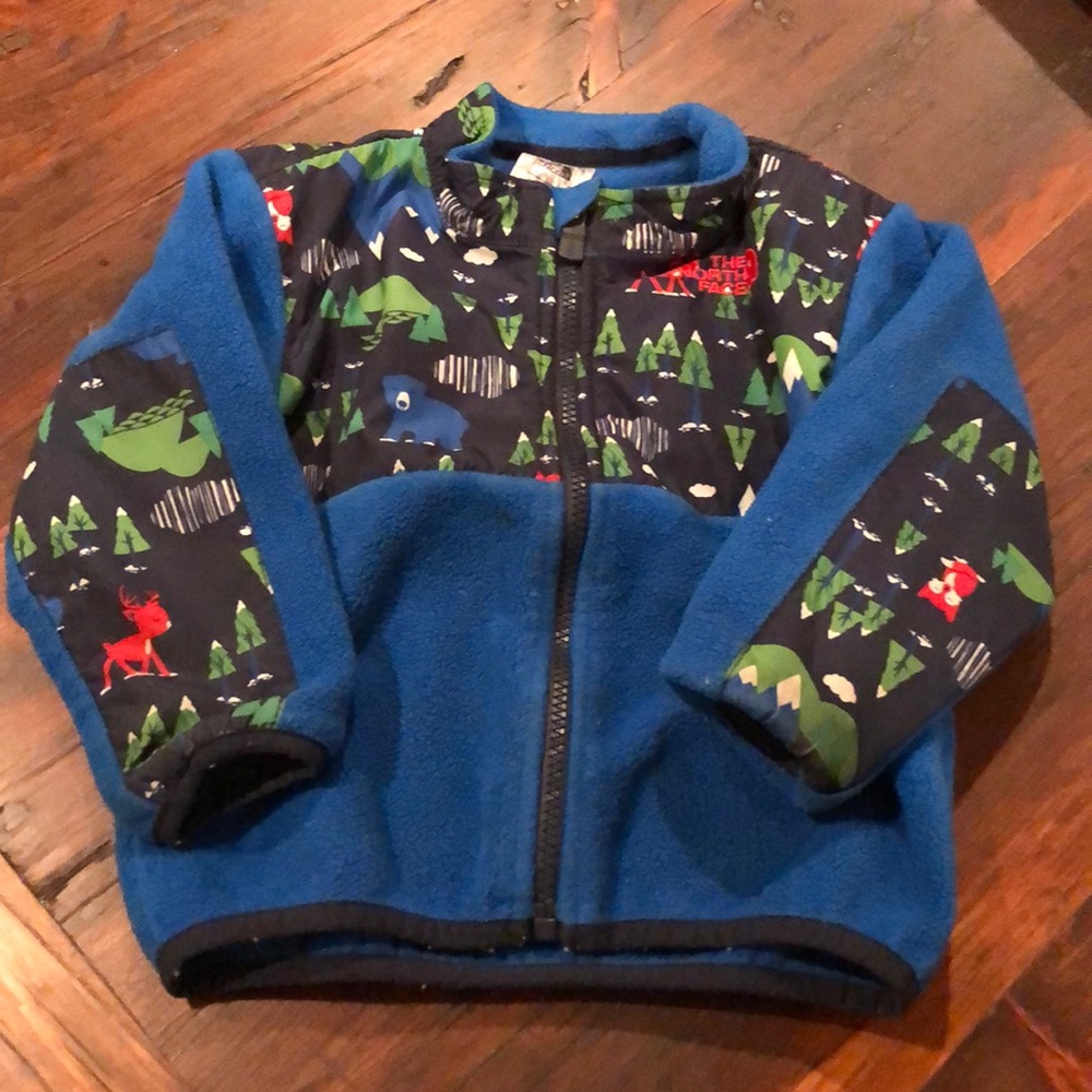 Boys 18-24 month North Face jacket